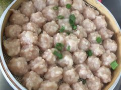 -新楚记