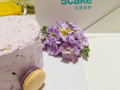 -5Cake五度无蔗糖低脂蛋糕(陶然亭店)