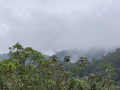 -深圳仙湖植物园