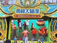 -西双版纳原始森林公园