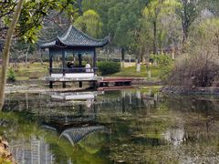 -月湖风景区