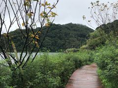 -广州市石门国家森林公园