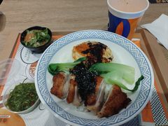 -吉野家(红博中央公园店)