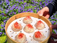 -苏小柳手作点心x茶叙小院(徐家汇分院)