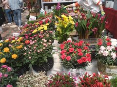 -秦美花卉(天朗·莱茵小城2期店)