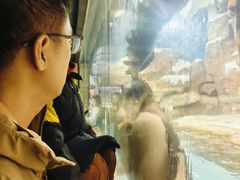 -哈尔滨波塞冬海底世界