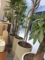 -妈妈时光机医疗产后修复(南山茂业百货店)