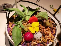 -韵秋荷(宝山龙湖天街店)