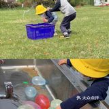 带娃放电就来种动员农场[加油]