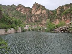 -Local泰莲庭(虹鳟鱼店)