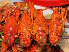 -香满锅老北京羊蝎子火锅·家常菜(新街口店)