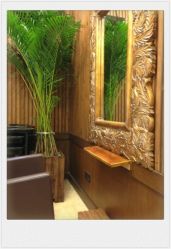 店内环境-红人馆造型世爵国际