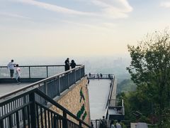 -紫金山山顶公园