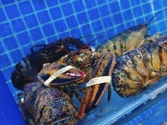 -前王院•巧克力海鲜市集餐厅(万平口店)