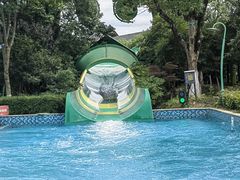 -苏州乐园森林水世界