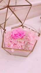 -久美荟·J Baby face