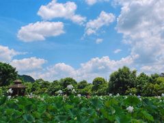 -贵阳市花溪国家城市湿地公园