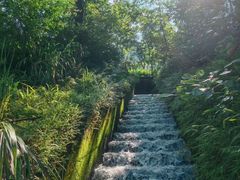 -广州市石门国家森林公园
