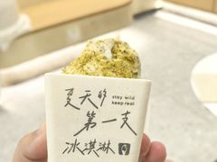 -野人先生现做冰淇淋(深圳壹方城店)