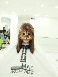 烫染-3AM HAIR SALON烫发染发接发