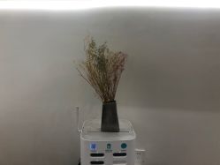 点击看大图 -MY HAIR ARDOR