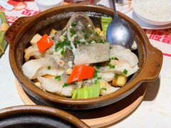 -点都德·毕德寮