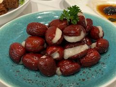 -圆苑(静安寺店)