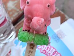 -秦皇岛野生动物园