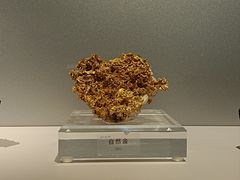 -中国地质博物馆