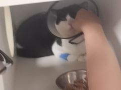 -博特宠物医院24h犬猫全科.骨科·异宠