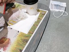 -麦当劳(北京大兴机场二层国内到达(安检外)店)