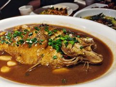窝头大黄鱼-好嫂子酱猪手•农家菜(华远坊店)