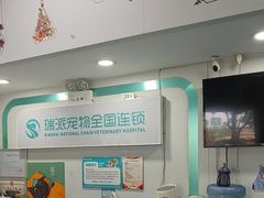 -瑞派先诺宠物医院•猫专科•普外科•中兽医(佛山院)