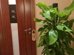 -裕和堂中医推拿艾灸(太古汇臻品店)