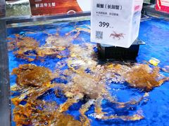 -盒马鲜生(新都心店)