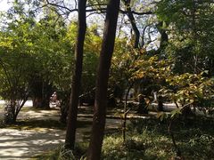 -上海市龙华烈士陵园