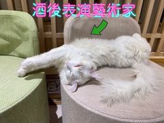 -猫和宫(六道口店)