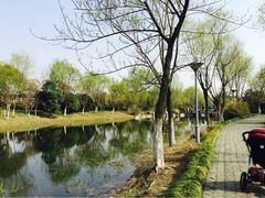 iphone_upload_pic-高子水居