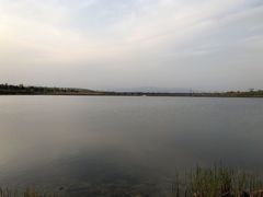 -绿堤公园