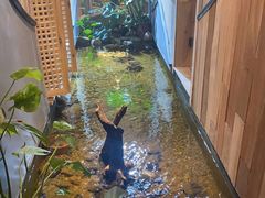 -邈墨茶馆(凤起路店)