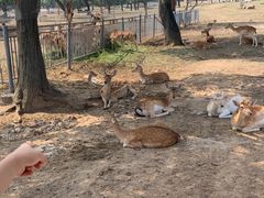 -西安秦岭野生动物园