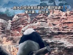 -石家庄市动物园