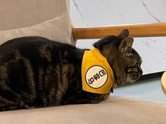 -唐咖精品咖啡(大理古城手冲店)