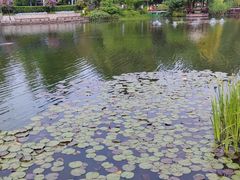 -成飞公园