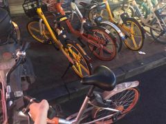 -黑竹香鸡(营和巷店)