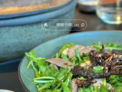 芝麻菜牛舌-Ameigo梅果·云贵川bistro(长宁来福士店)