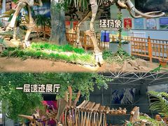 -中国第四纪冰川遗迹陈列馆