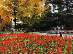 -北京邮电大学