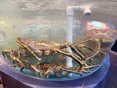 -王庄阿咪海鲜大排档(象园店)