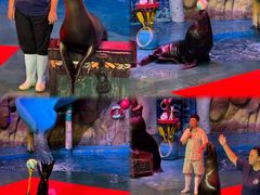 -烟台海昌鲸鲨海洋公园